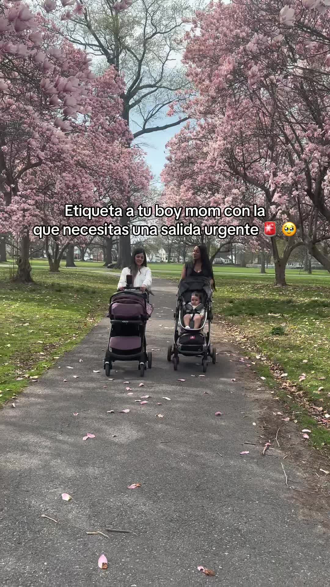 @May| Girl Mom🩷