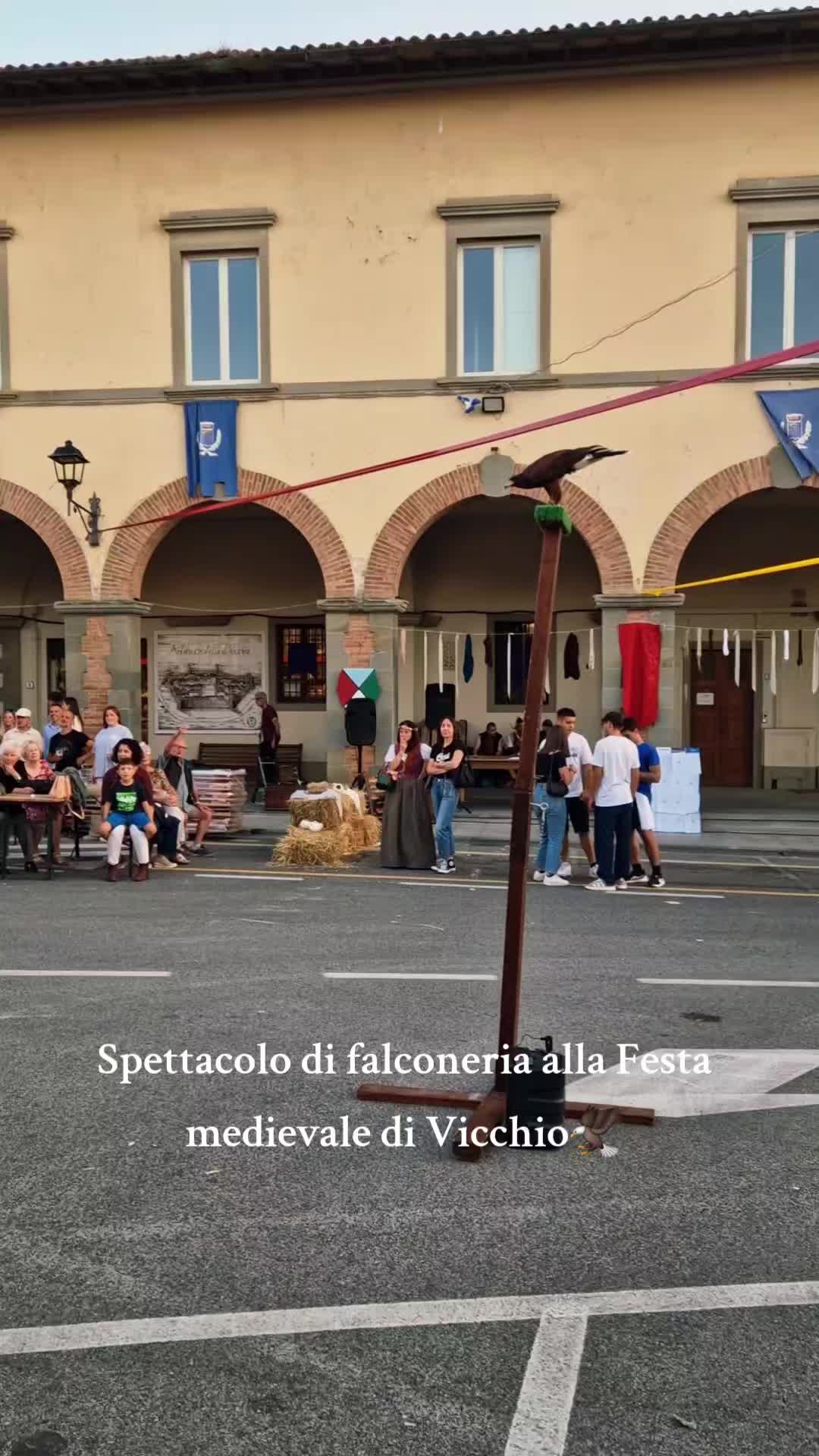@luca amb
