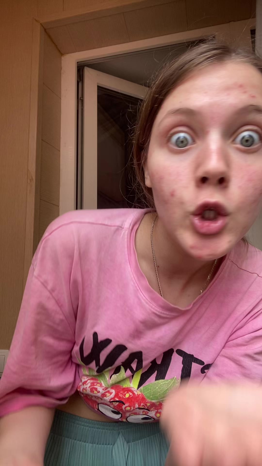 @thelanamog