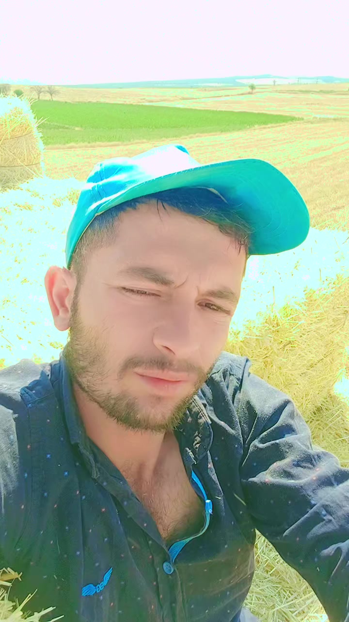 @Hamza Dogan