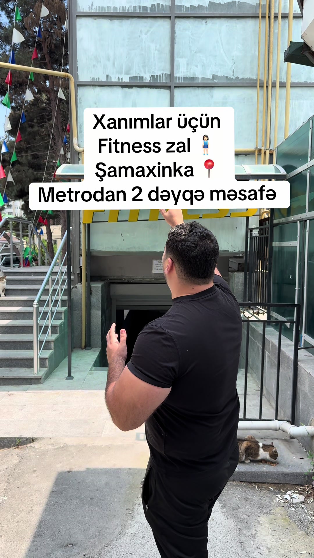 @⚜️Hercules Trenajor Zalı⚜️