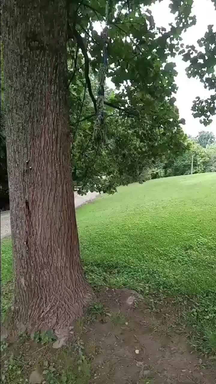 @Rebel kennel