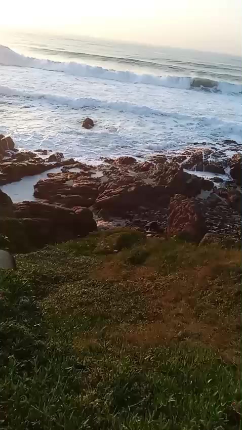 @samuelzondo0