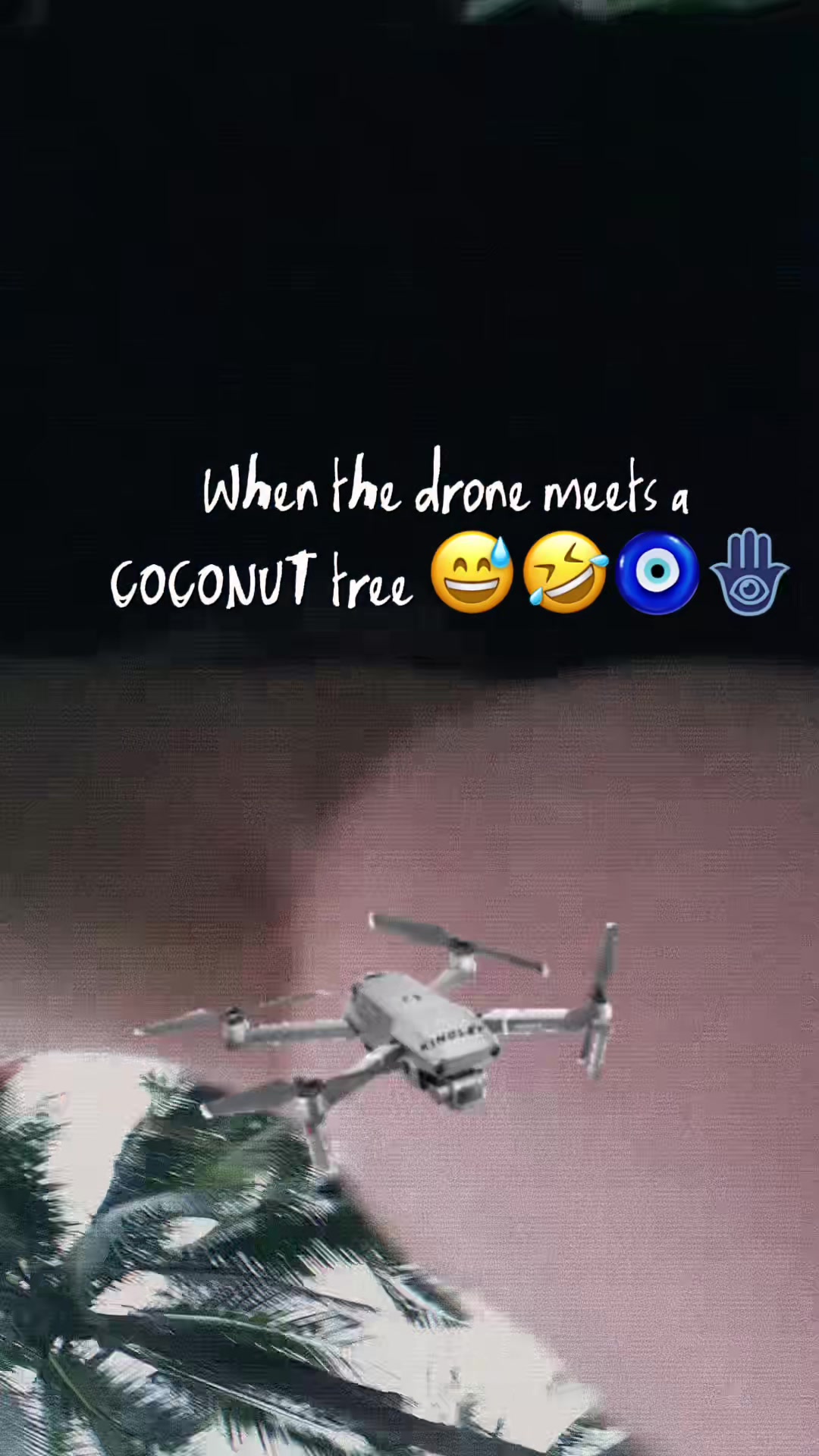@Aycel13