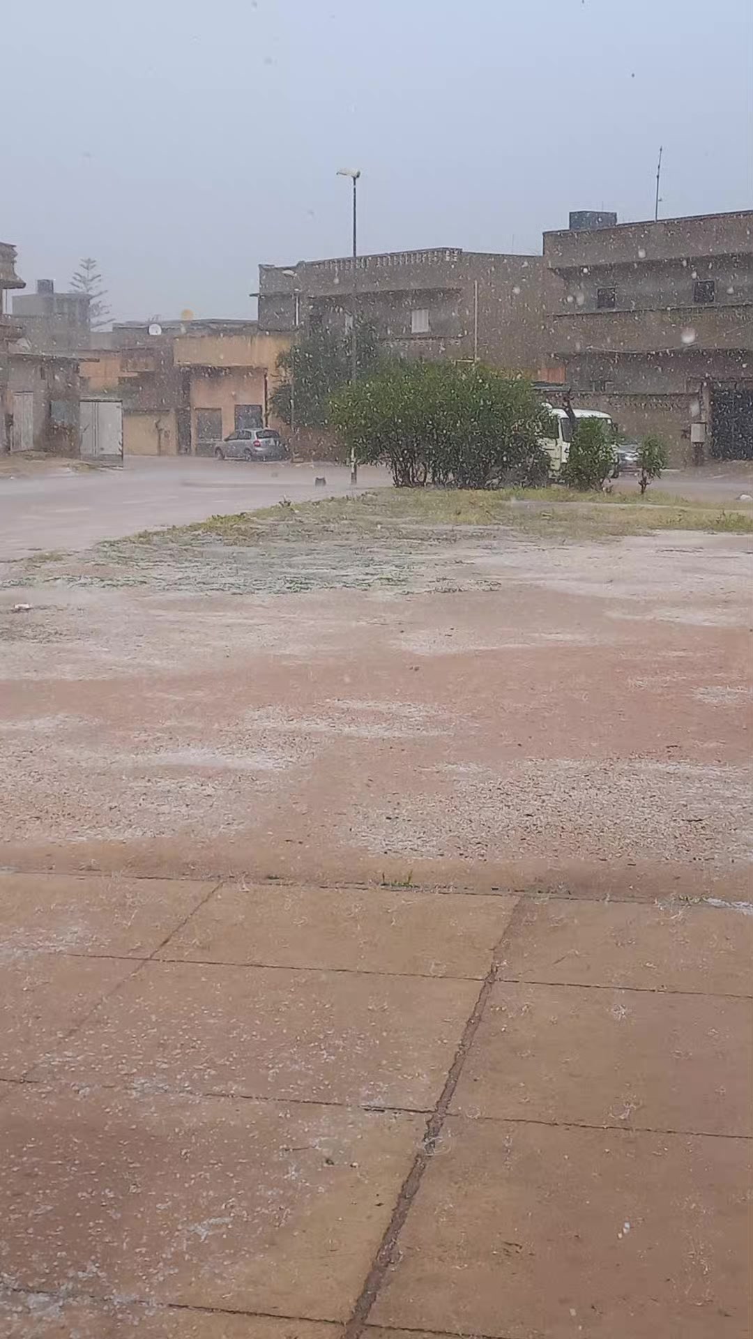 @صلاح بوجيدار