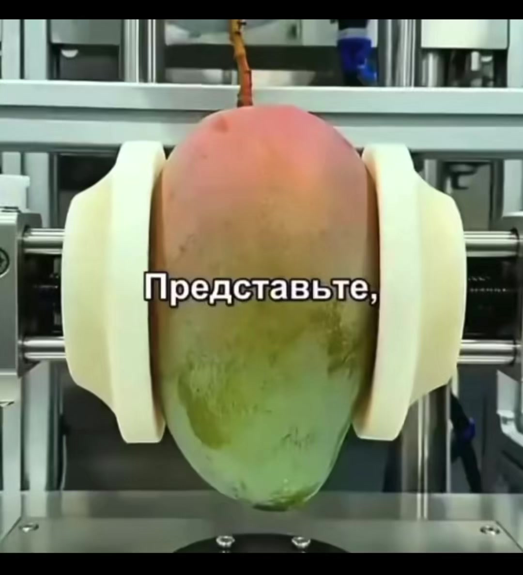 @Пупсик