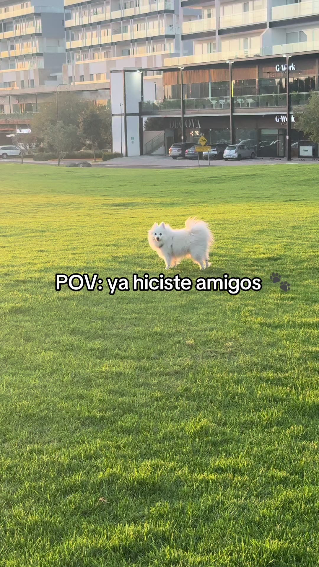 @✨Soy Estef✨