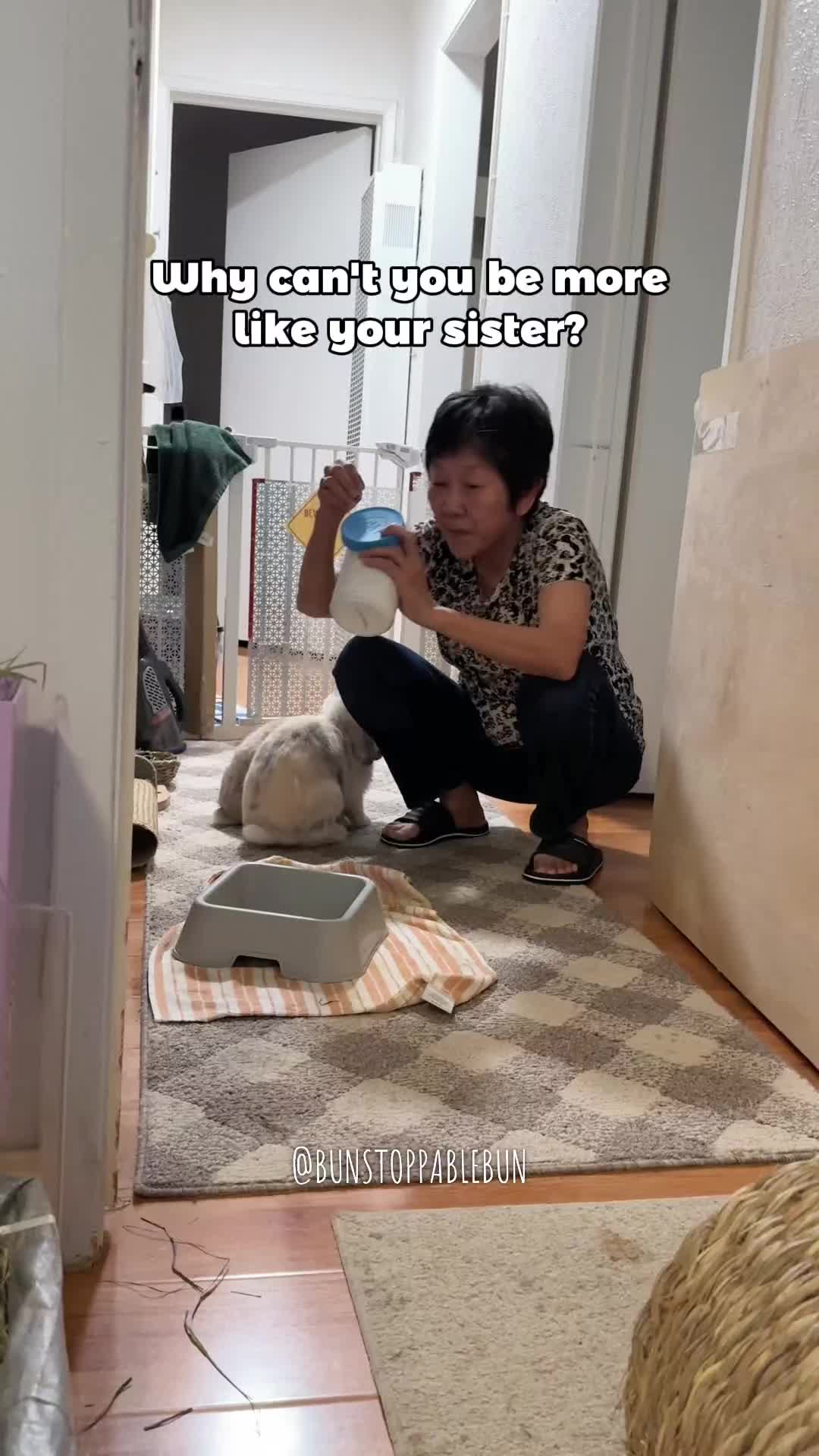 @BunBun, Mochi🌈, Chewy