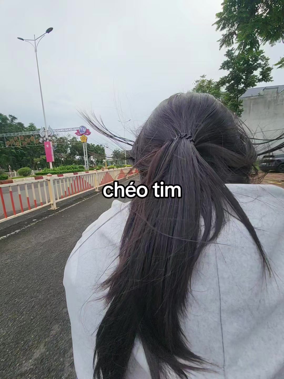 @titt.