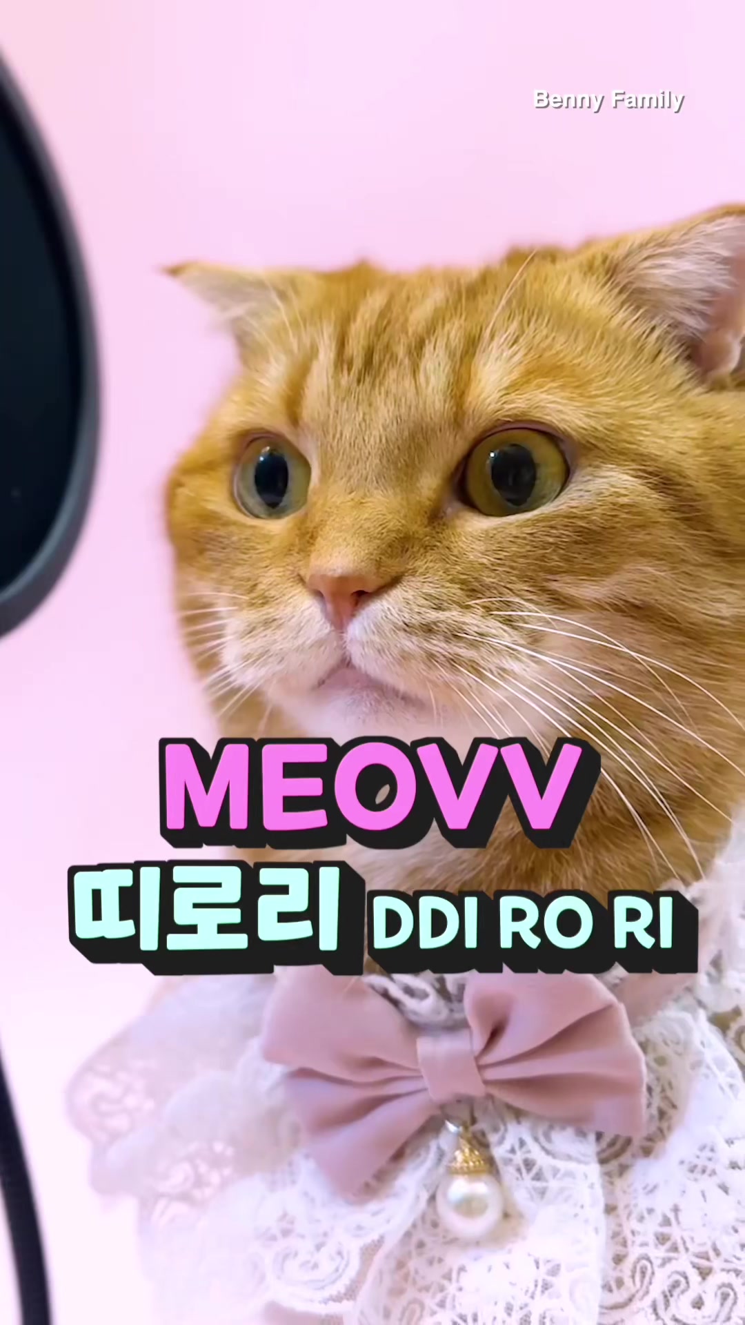 @베니패밀리 Benny Family