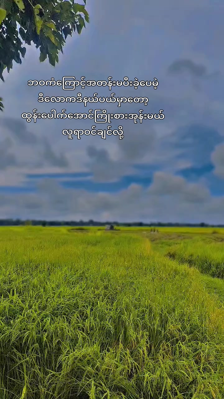 @ငဟိန်း🥀(Officialacc)🥀🍁