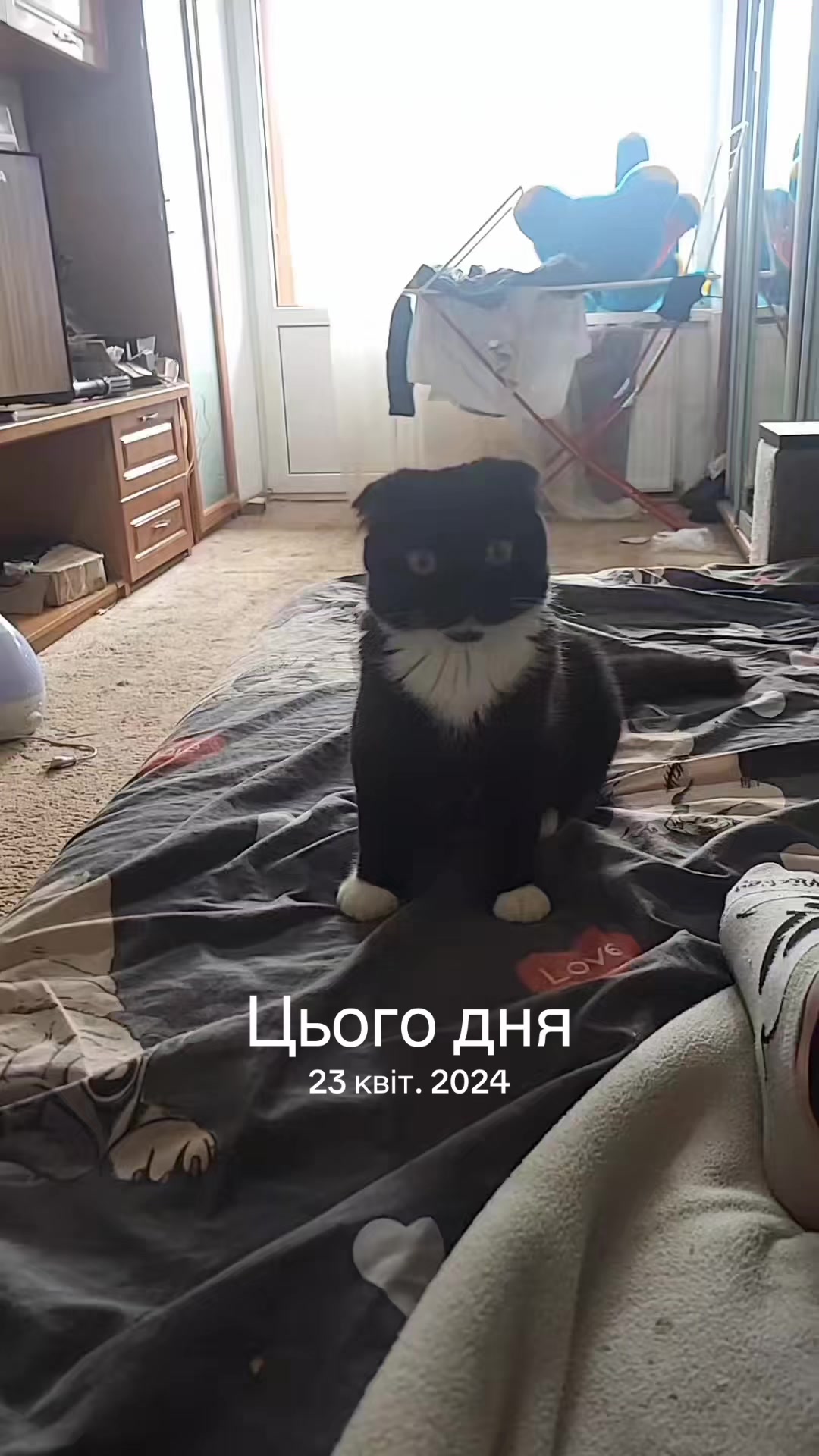 @🦊Rusyavochka🦊