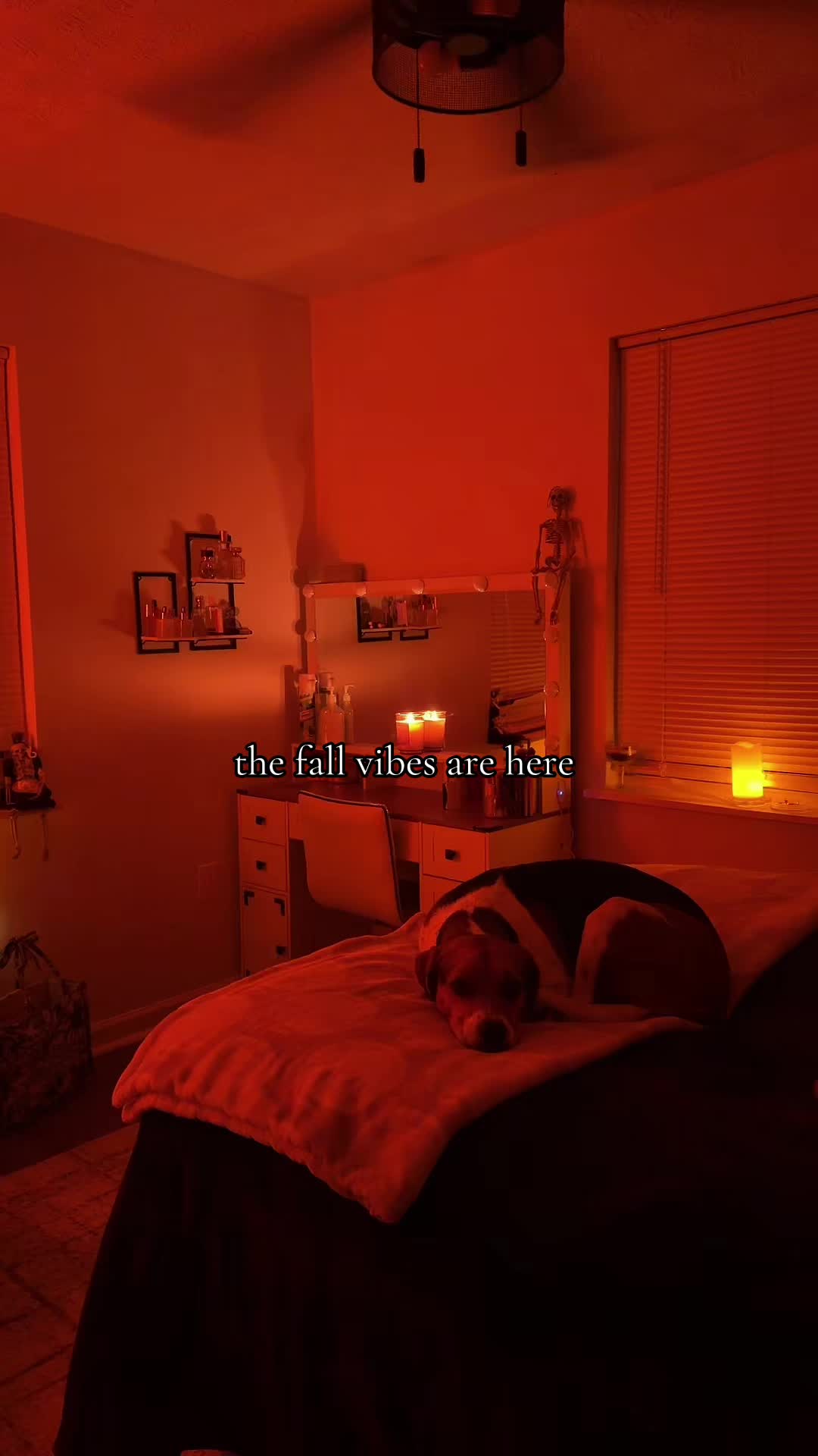 @abbigail 🖤