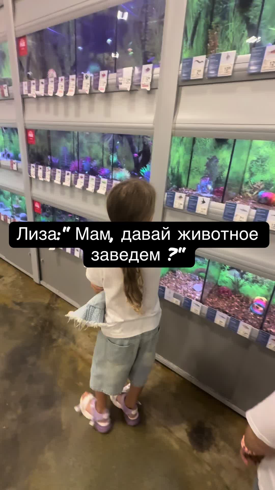 @LizaKse