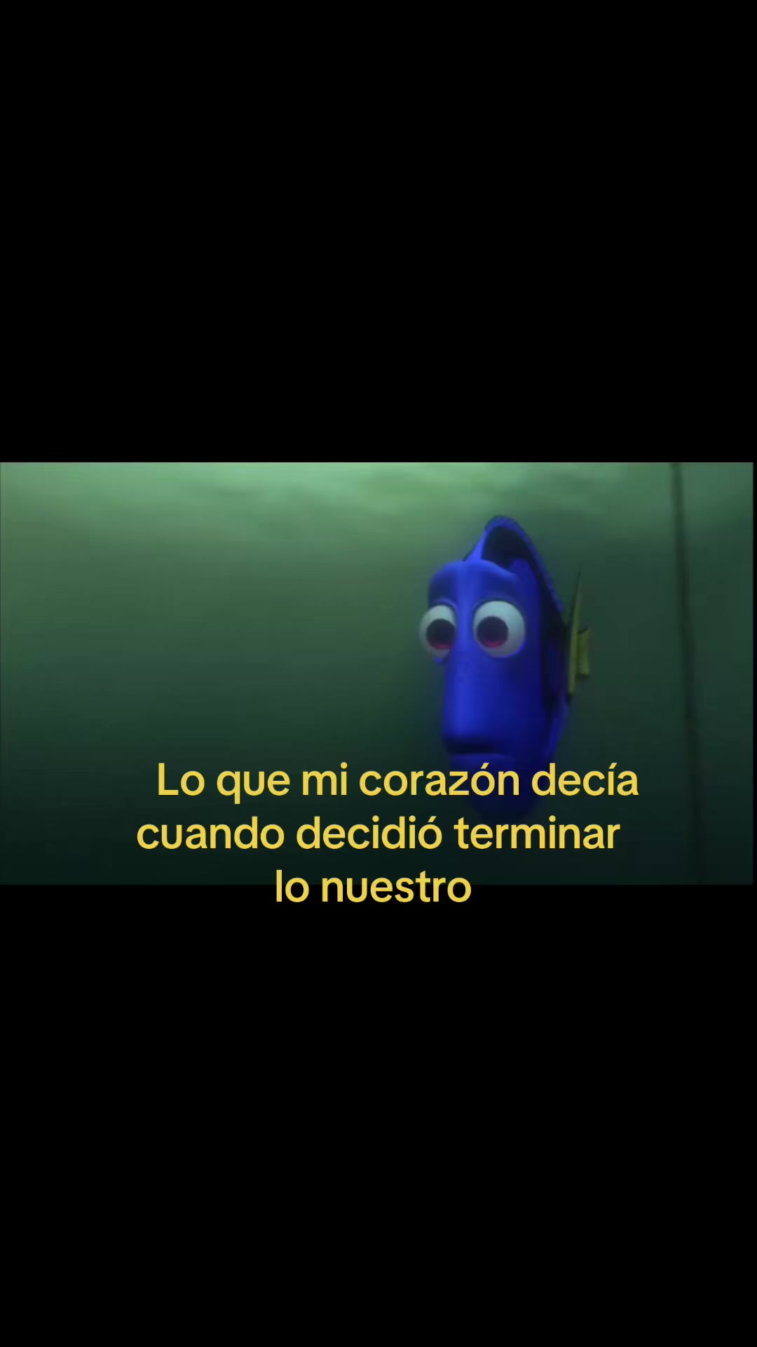 @userdesconocido