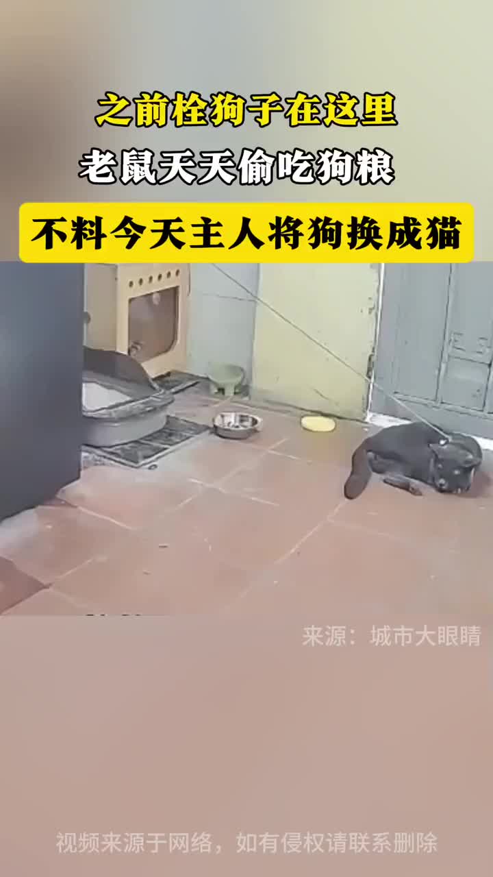 @晃晃悠悠