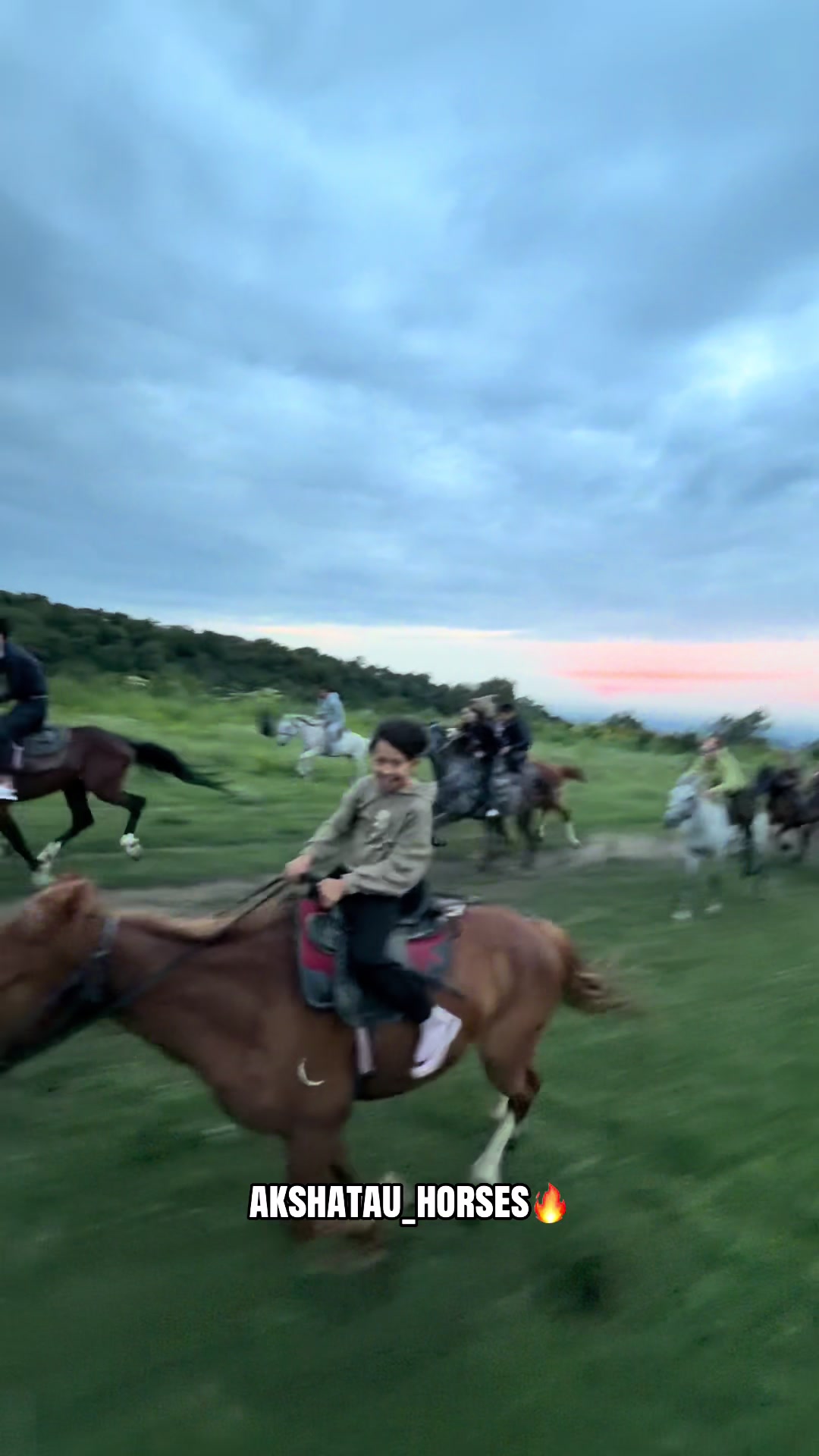 @akshatau_horses