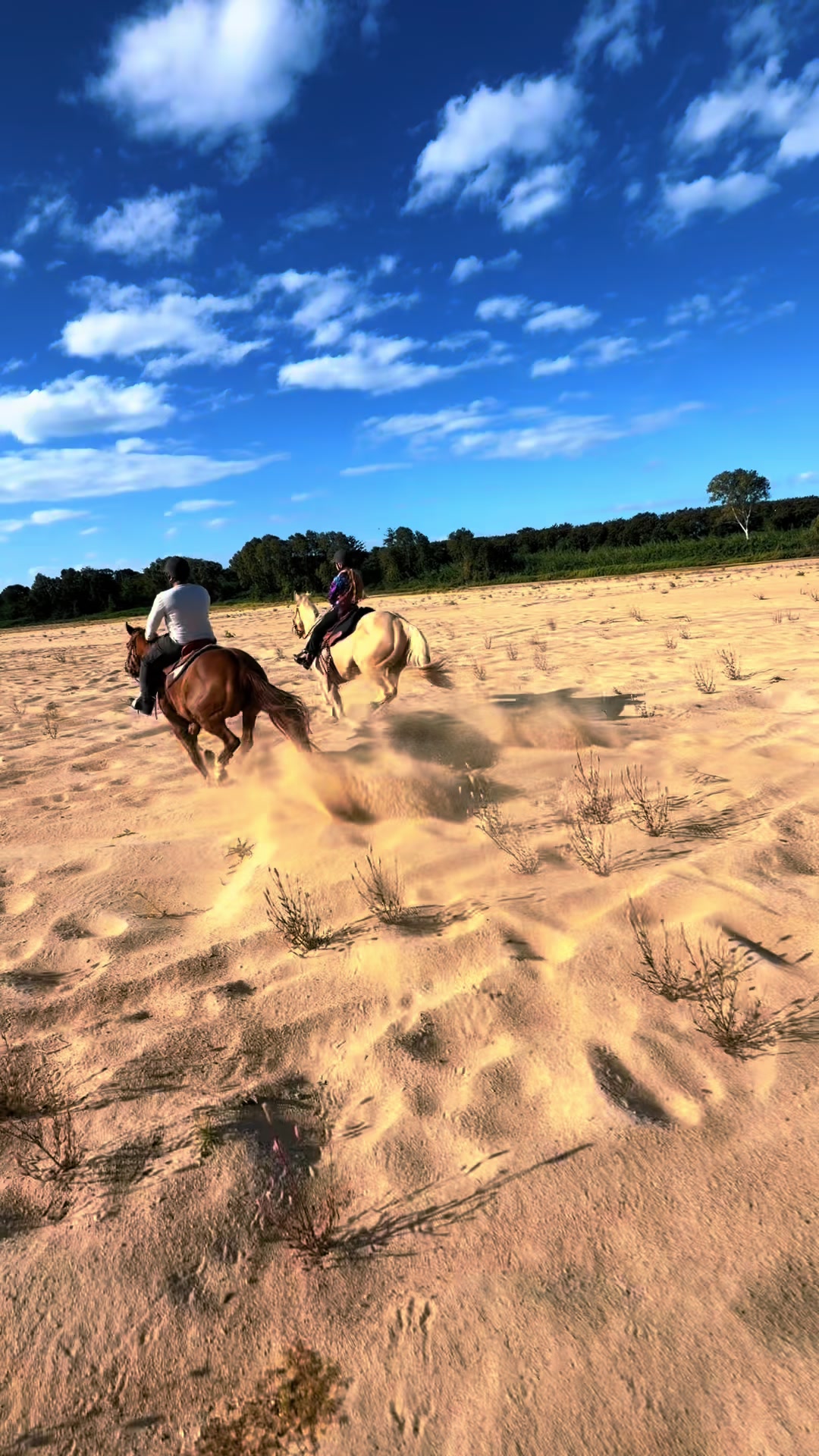 @Stable Connection