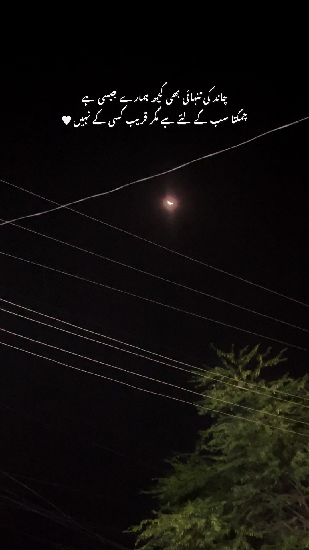 @🌙