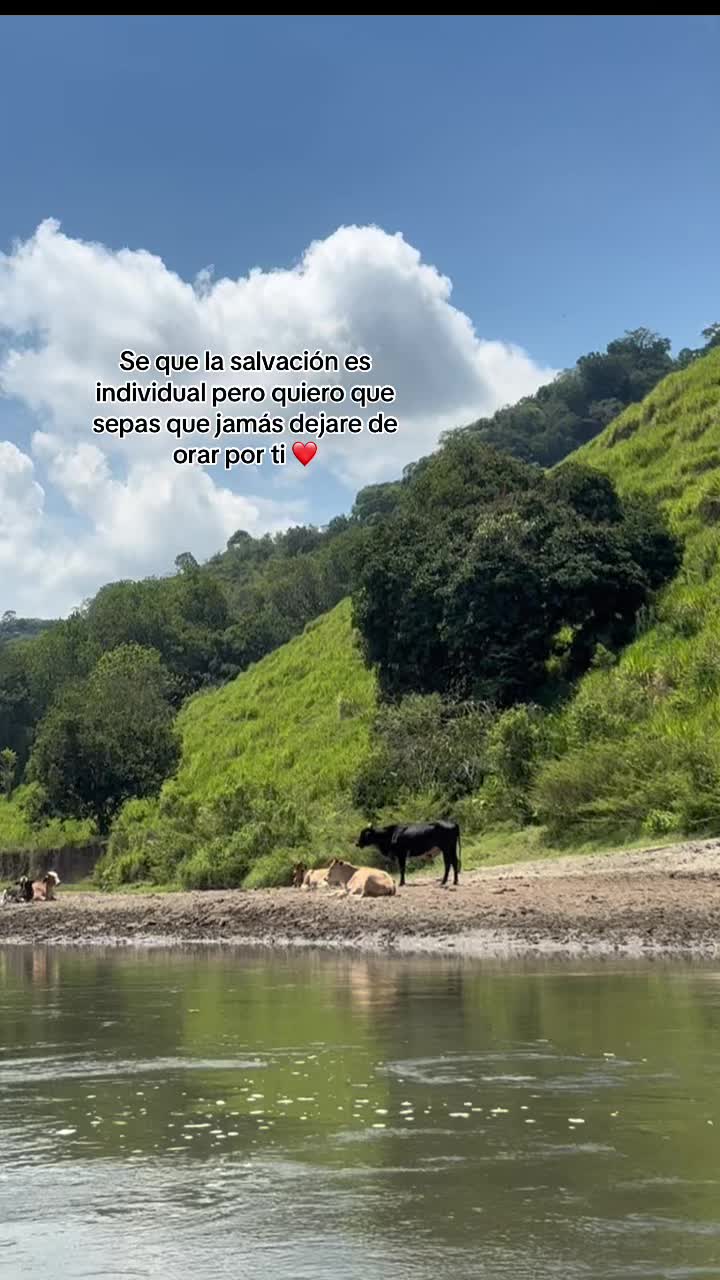 @Sara Sierra Saavedra