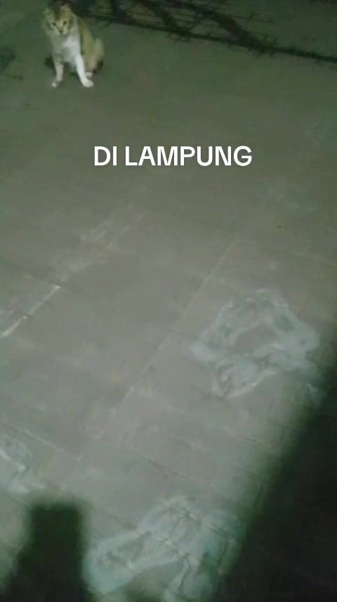 @IHSANUDIN-MEDIATOR DUNIA