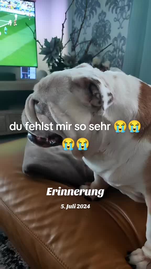 @cori.friedy.toni