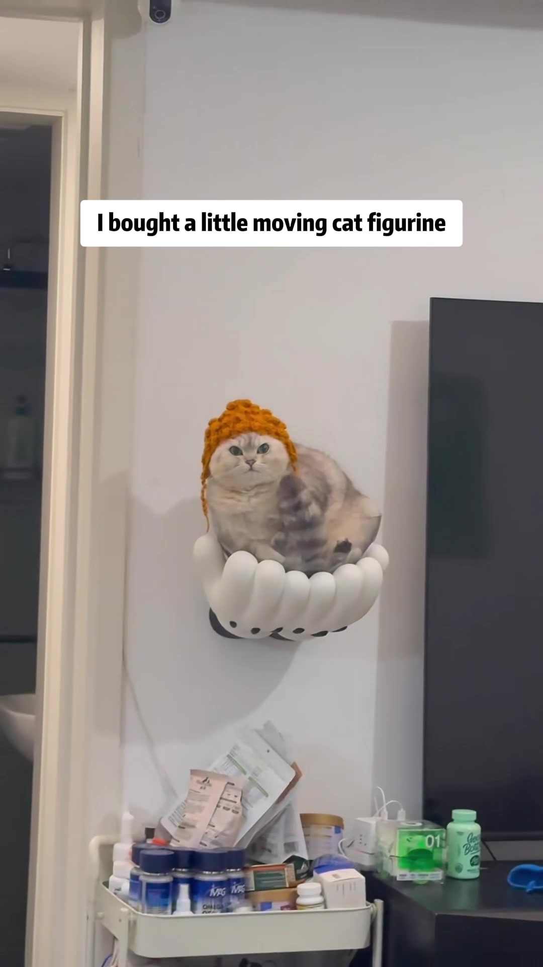 @MoewaiiCat