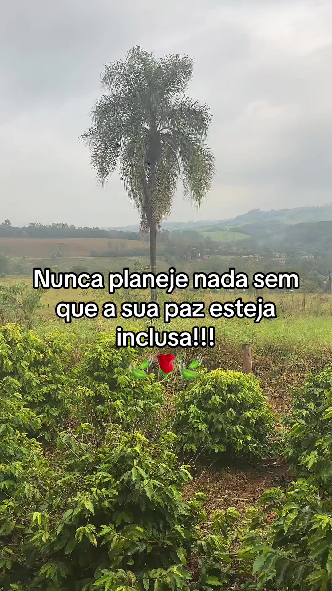 @Adriele Caldeira