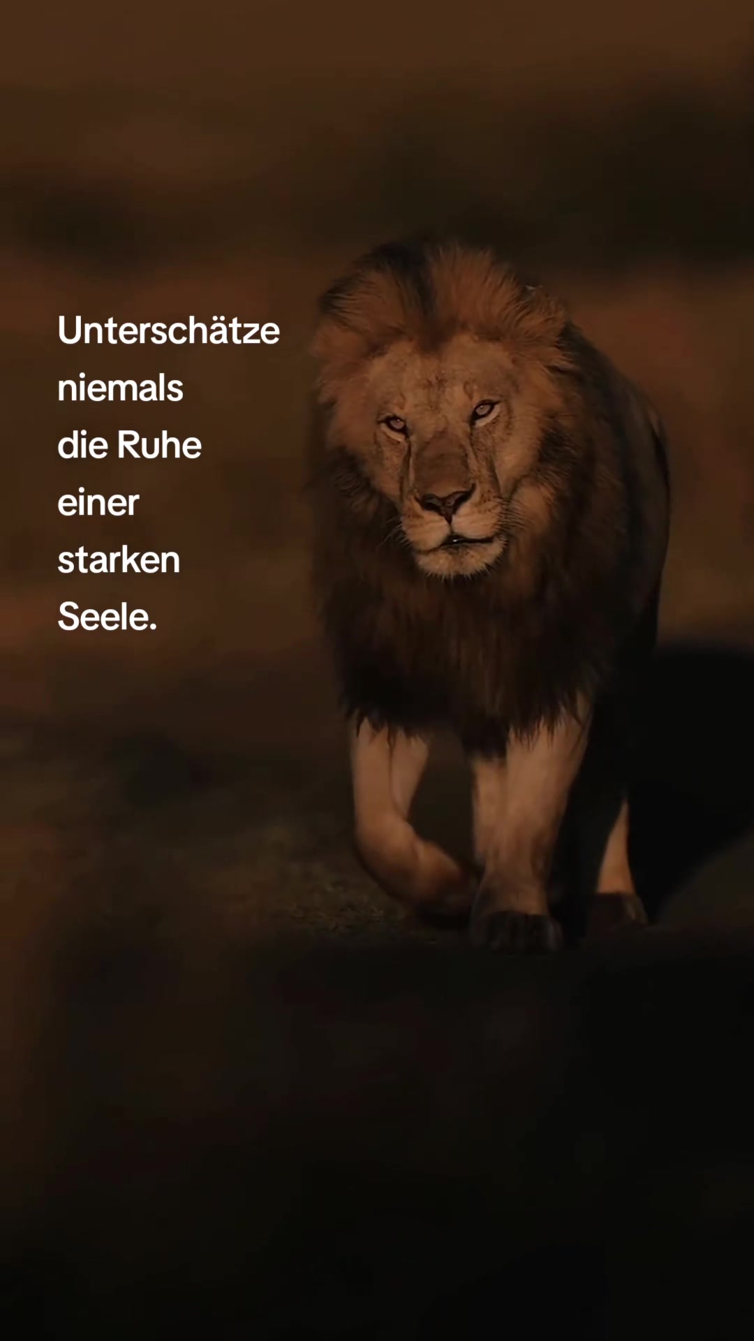 @𝕷𝖎𝖔𝖓-𝖌𝖎𝖗𝖑 🦁