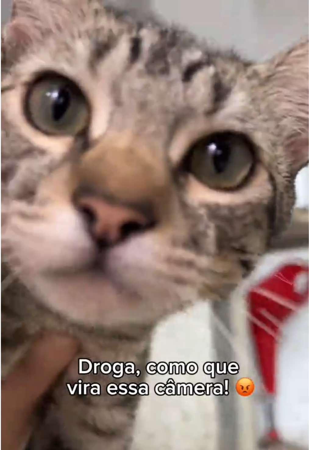 @Lu e Biel