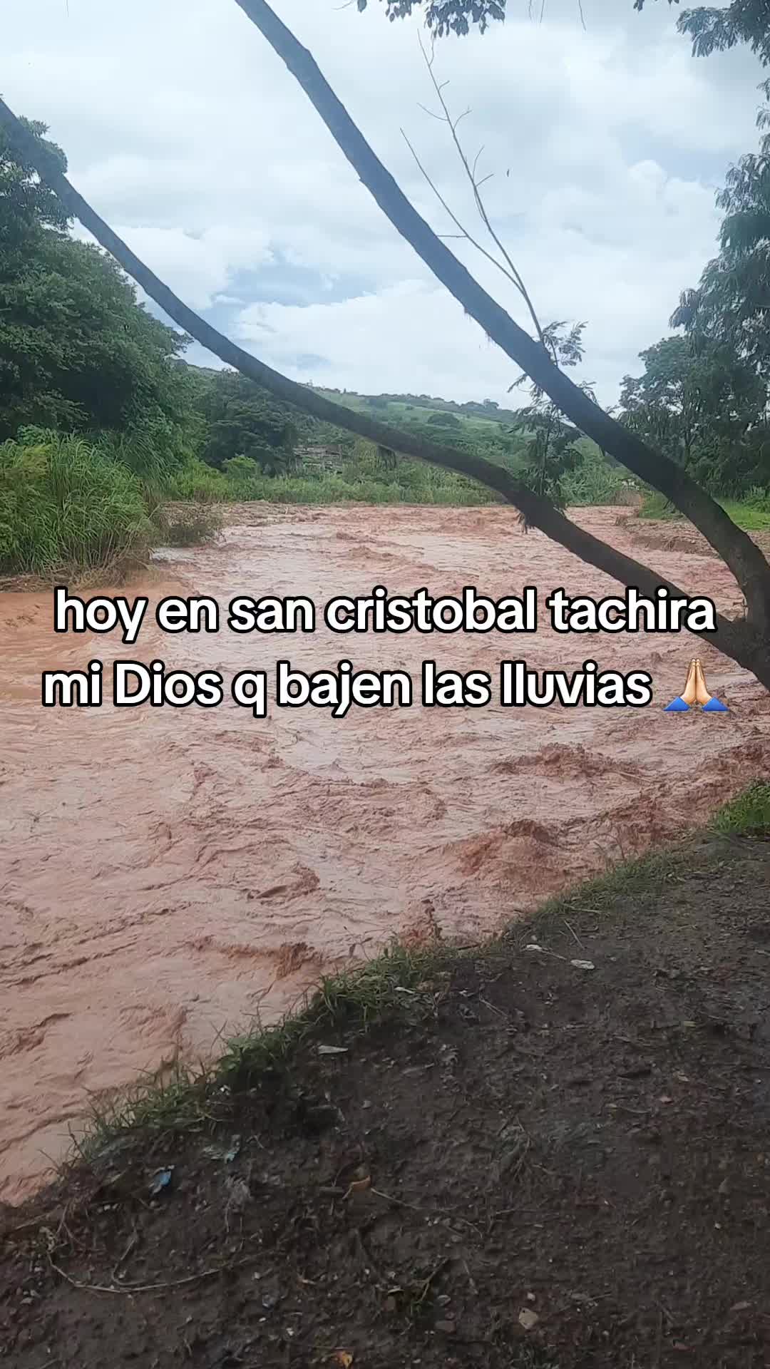@⚡️🍀La Gocha 🇻🇪⚡️