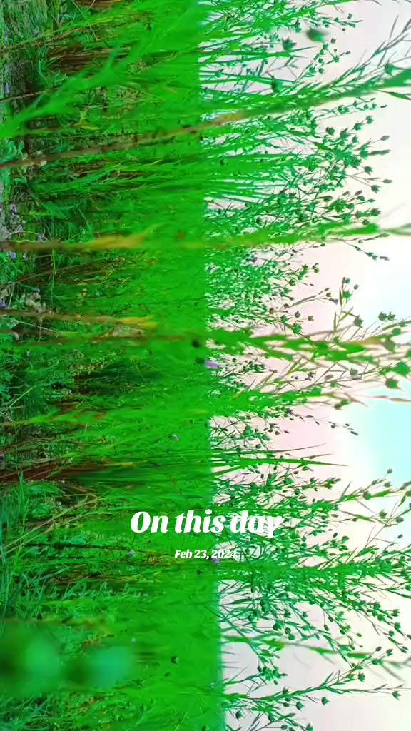 @ãâ
ðïžâââðâ£âË¢áµÊ°áµáµ≈ðïžâââðâ
圡
