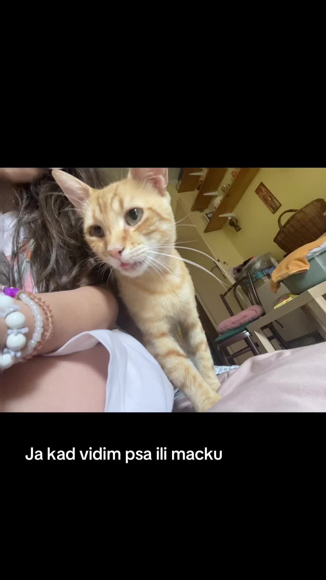 @ｒｅｐｏｓｔ