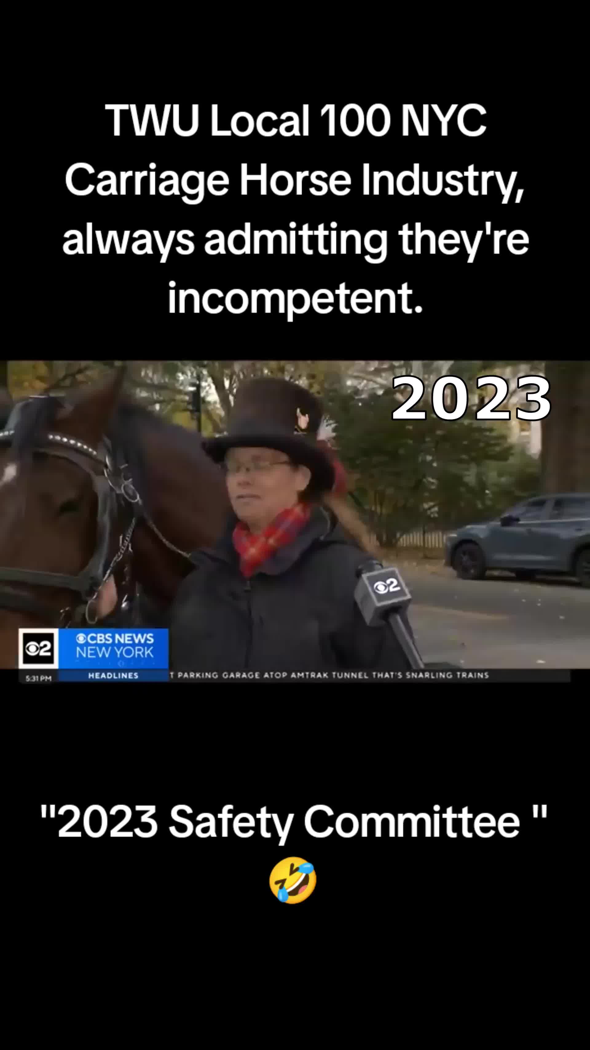 @Equine Advocacy Alliance