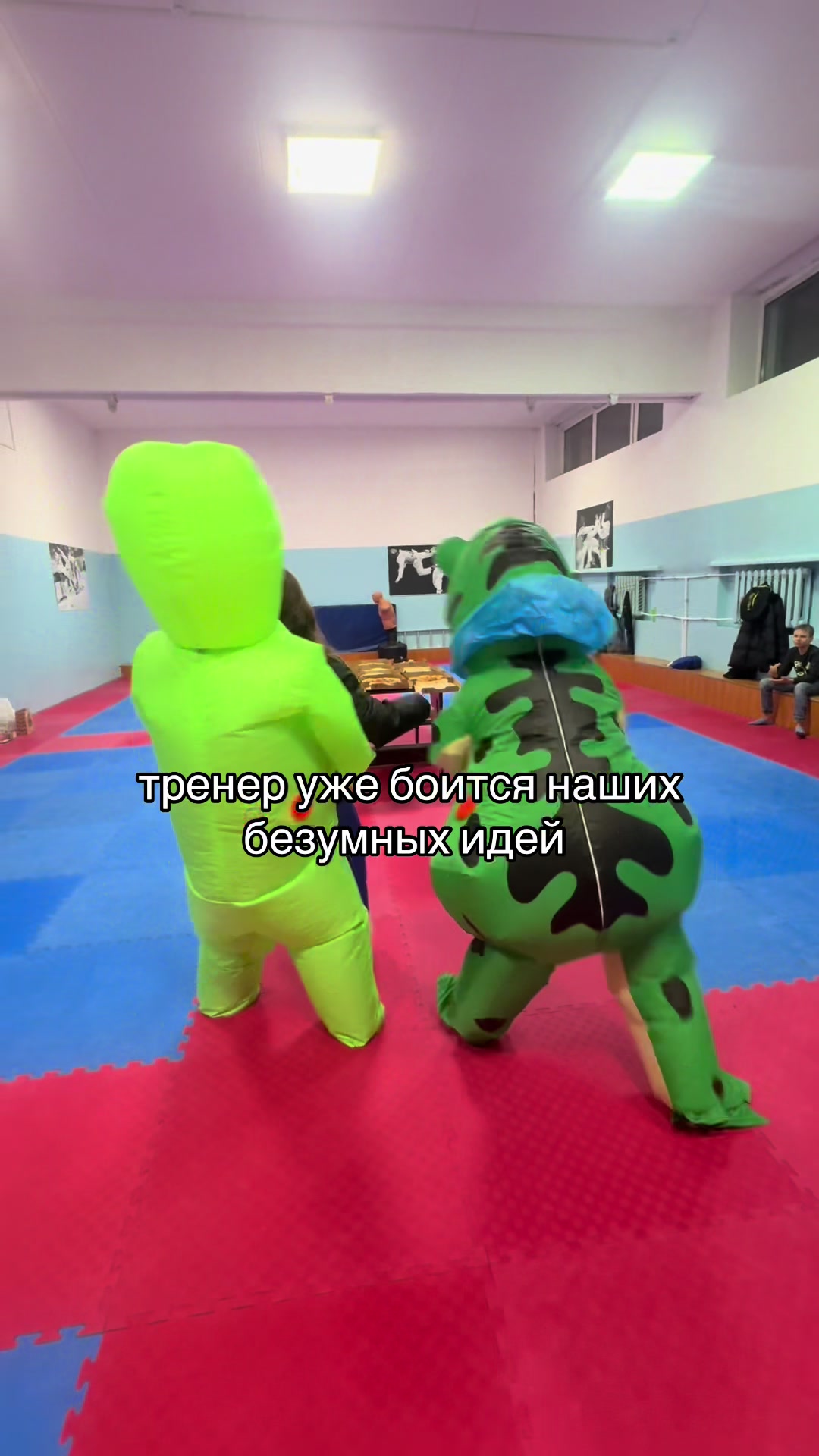 @diana.tkd