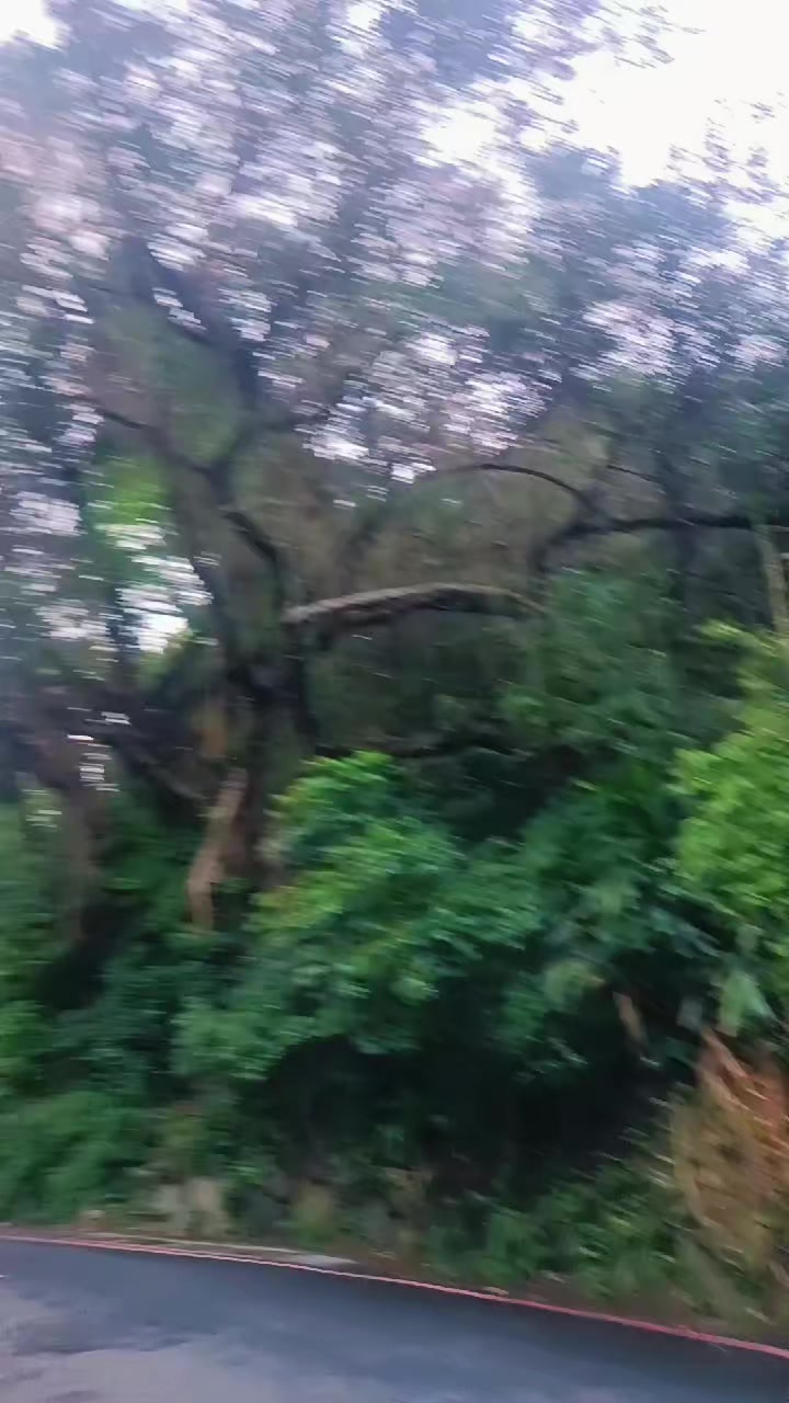 @@ Yuli 🇮🇩🇹🇼