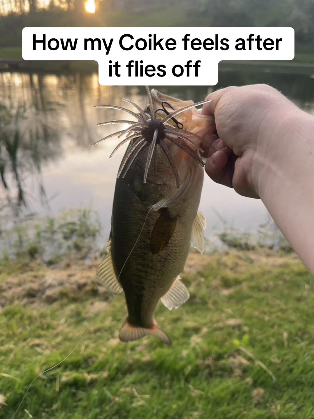 @tymagargleoutdoors