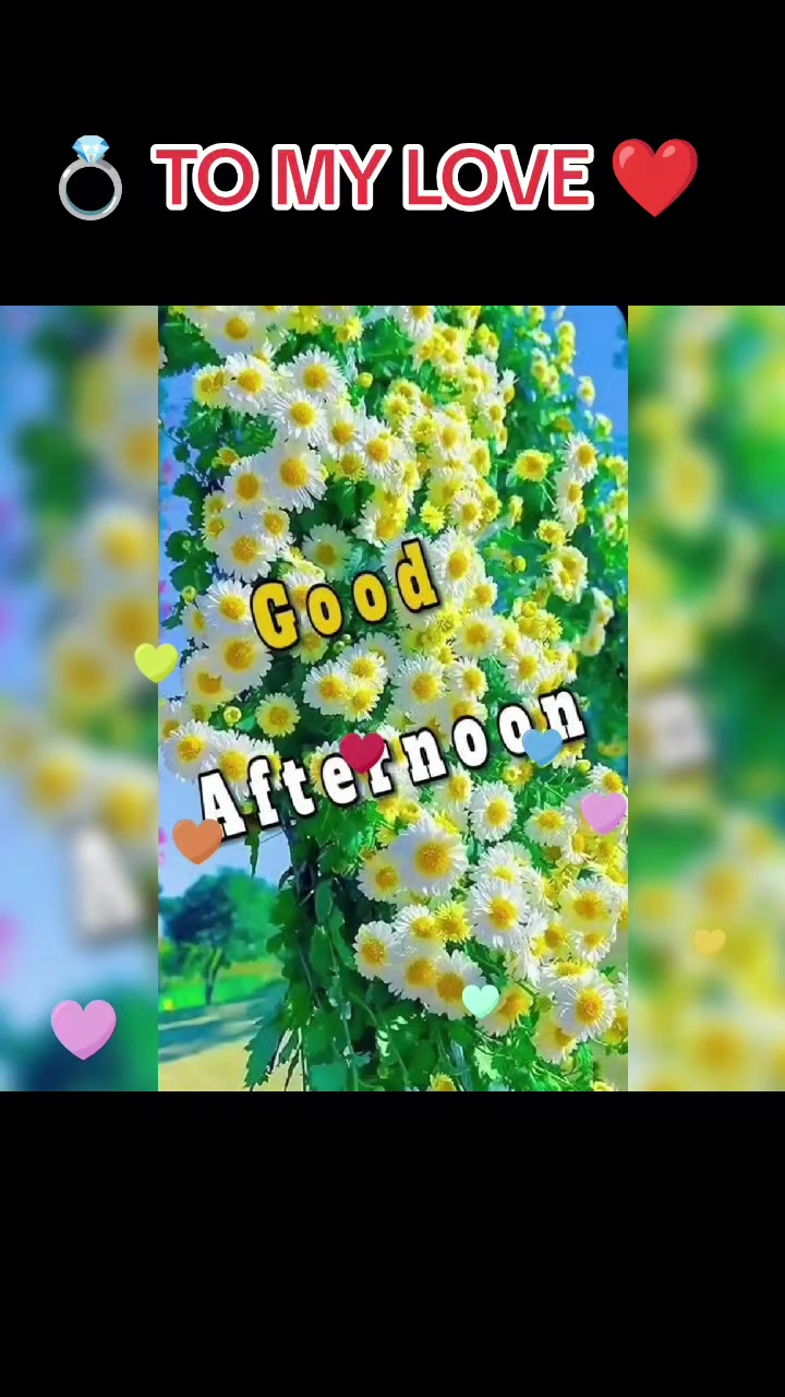 @bae🦋🦋