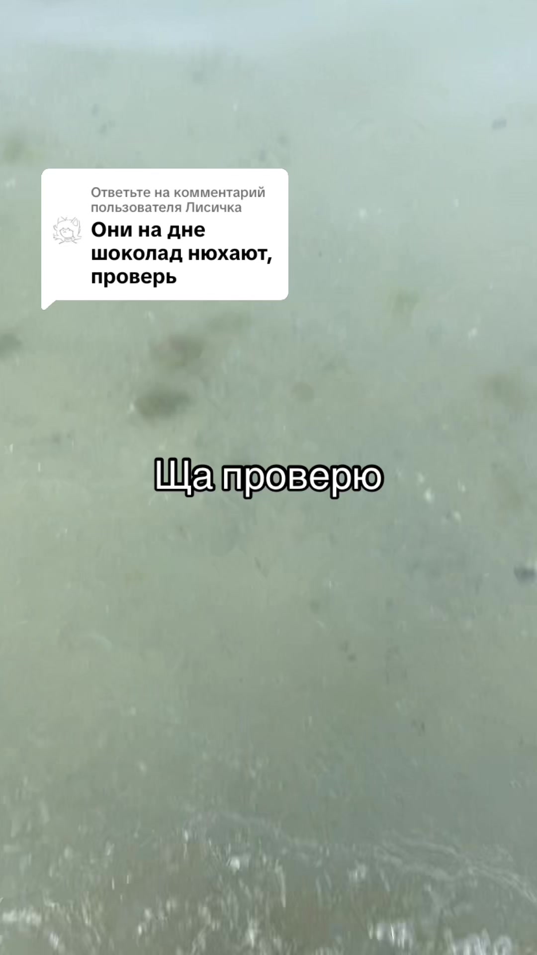 @Dankat825