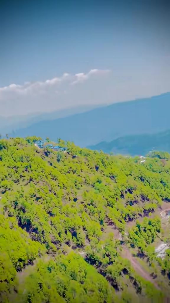 @𝒯𝒶𝒽𝒾𝓇 𝒵𝒶𝓂𝒶𝓃 🇵🇰🇮🇹