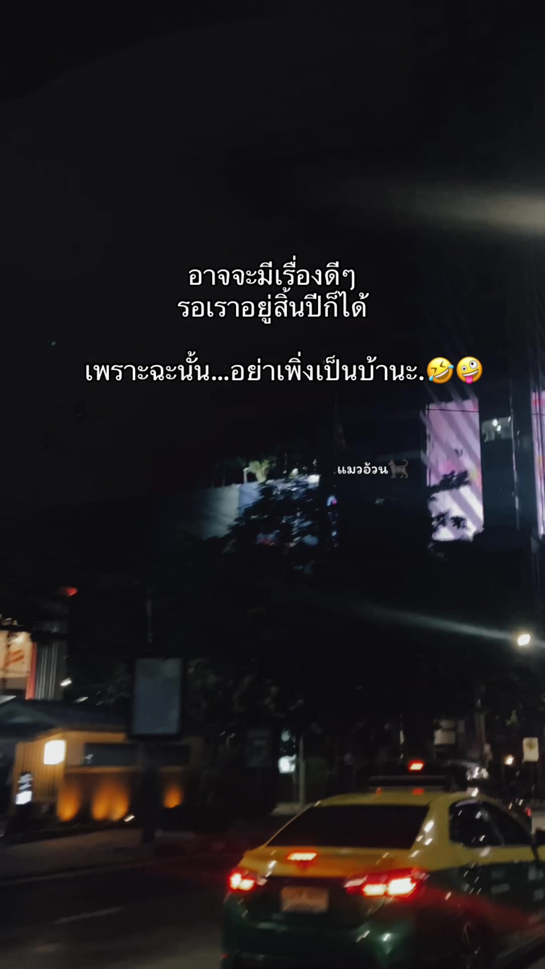 @แมวอ้วน🐈⬛