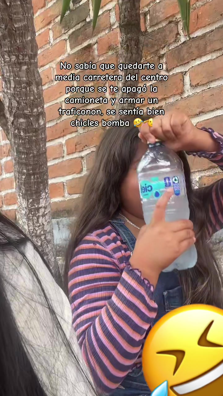 @angezootec🐷💗