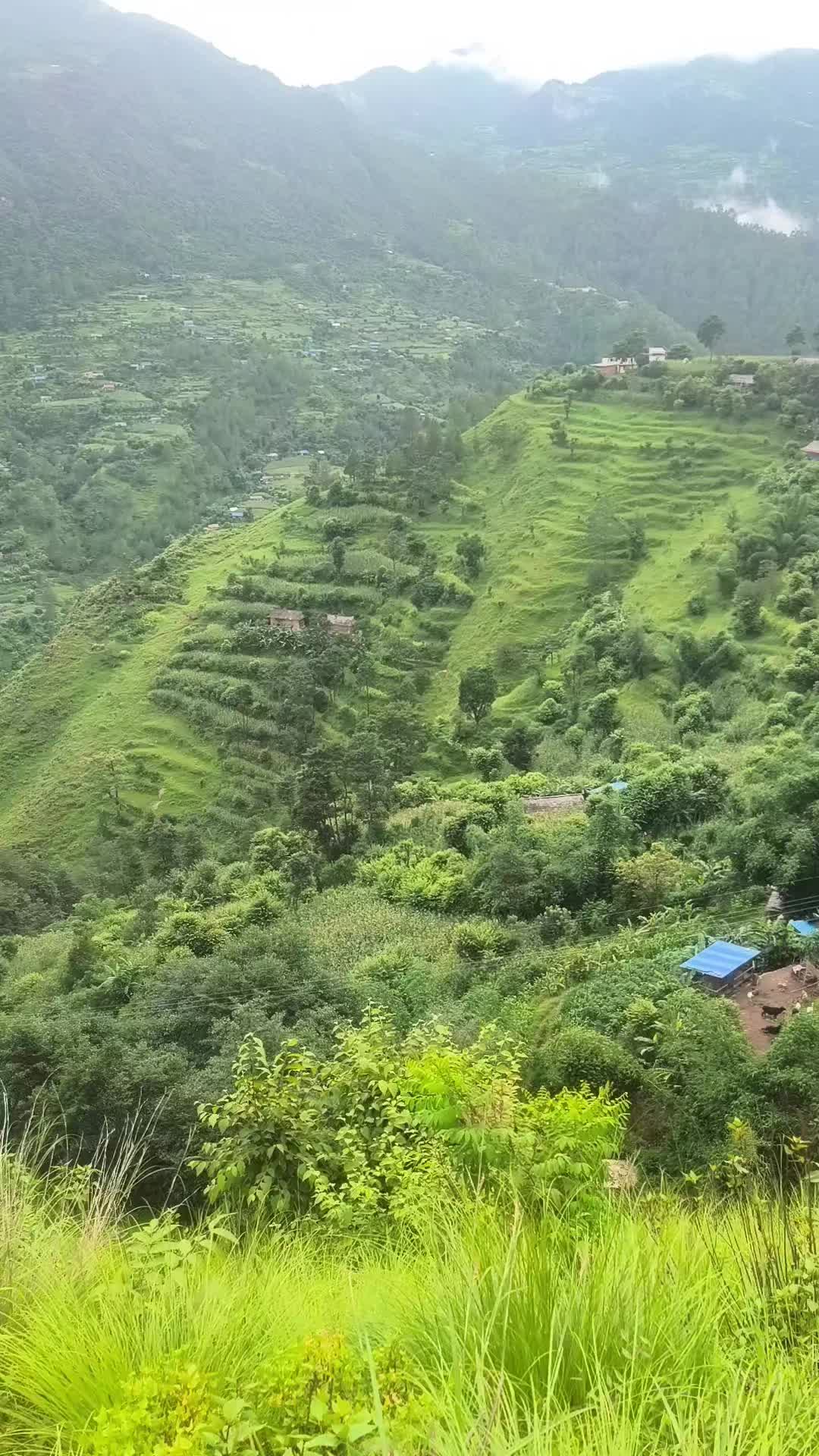 @खुमेश क्षेत्रि