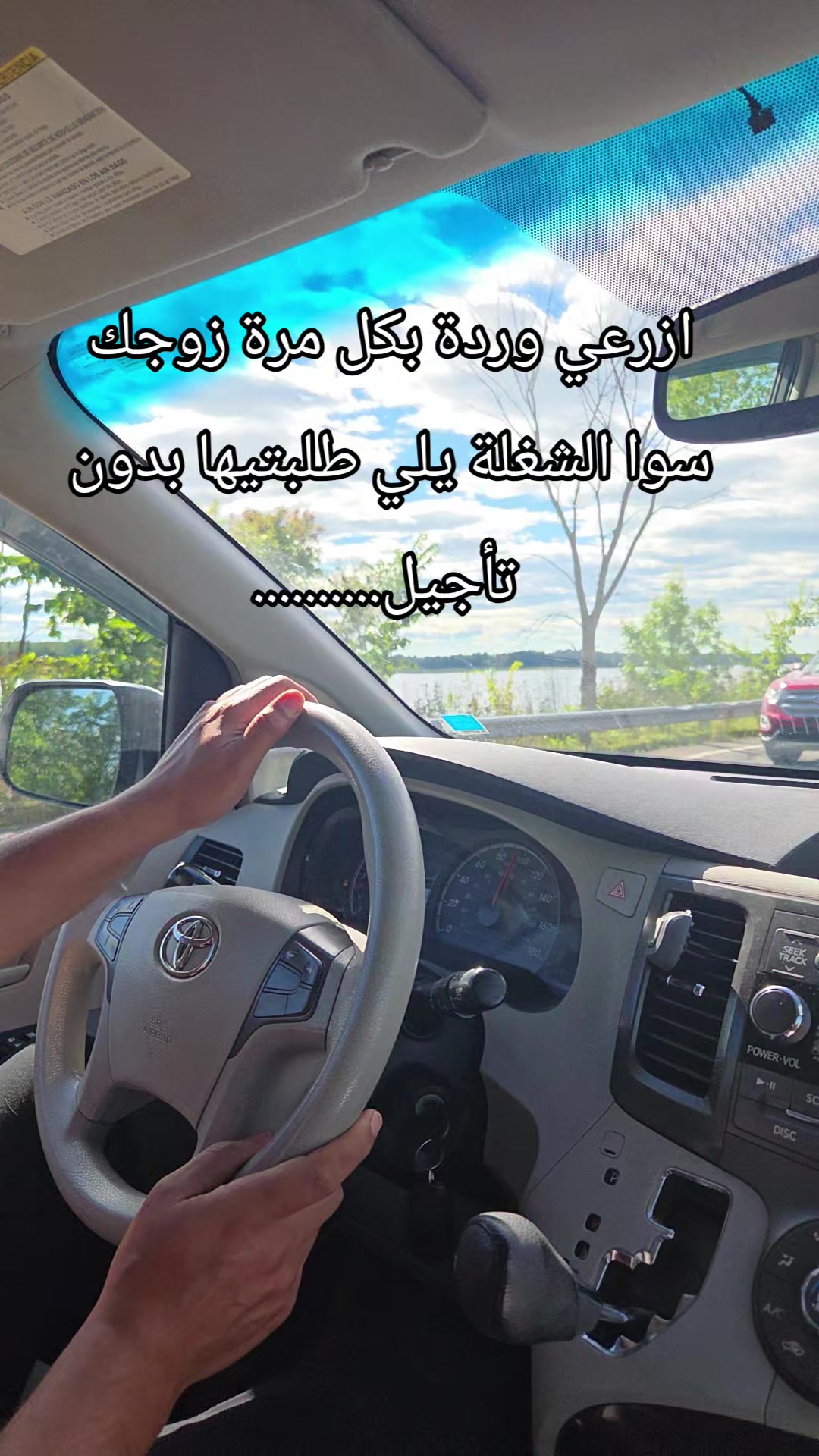 @Nour🌺🌸