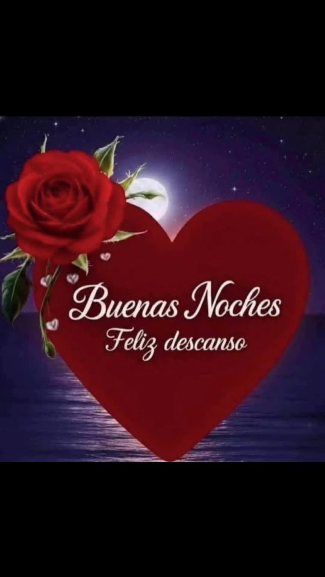 @elvirasvg
