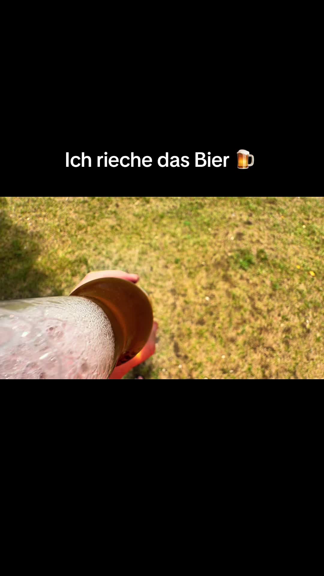 @Zomblights