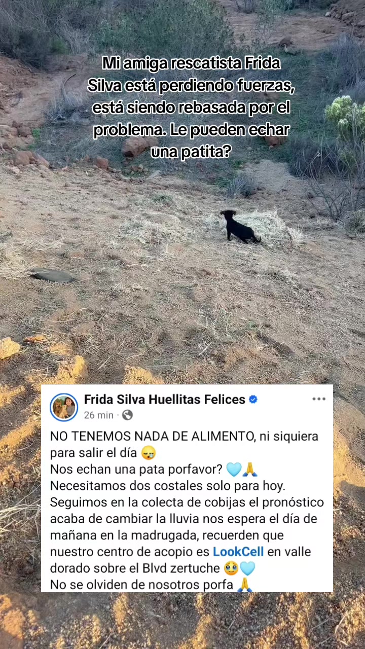 @ValtoGamer
