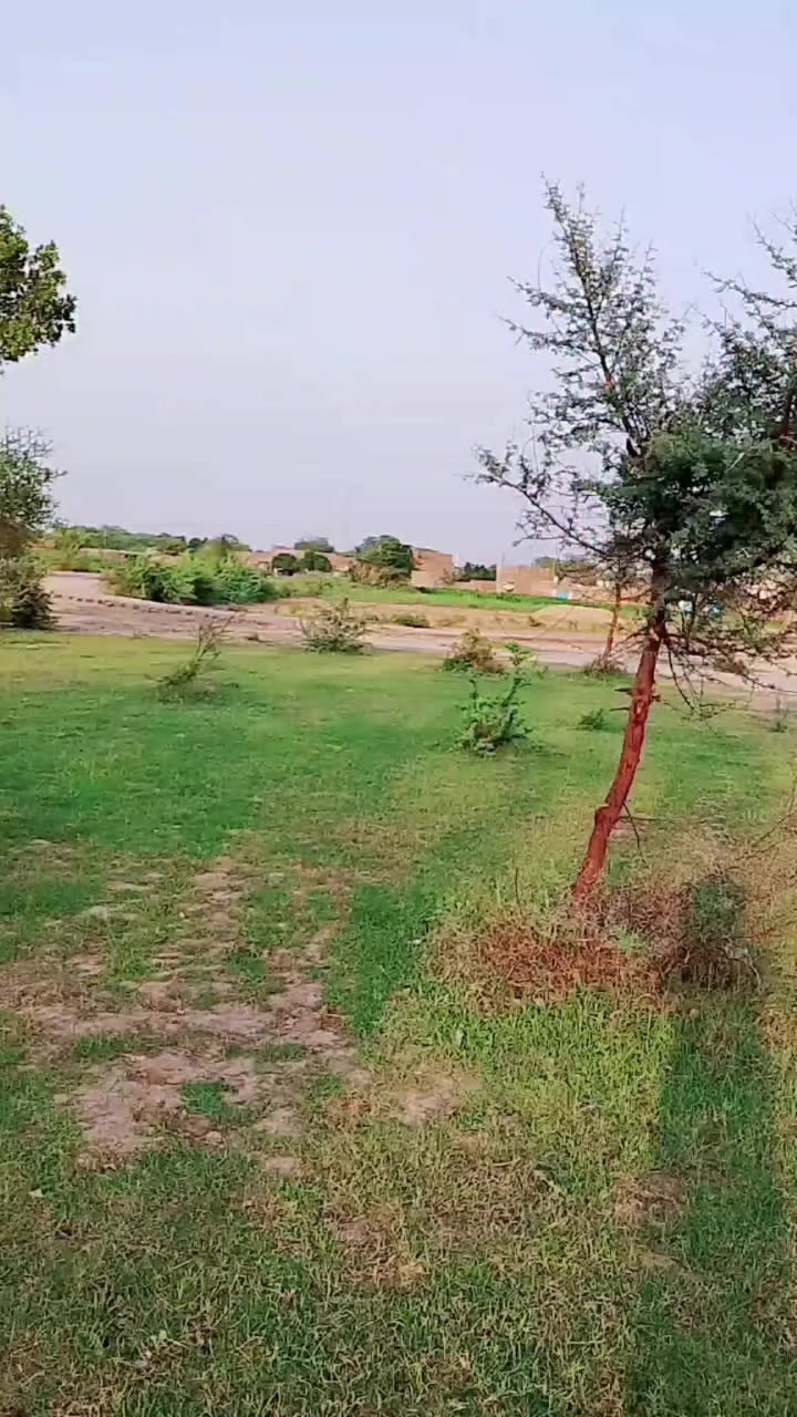 @👑 اعظم علی چشتی197👑