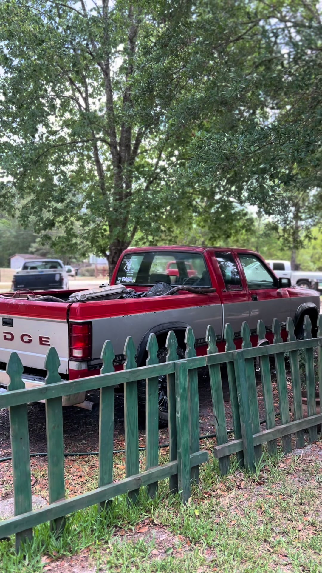 @Devinfn