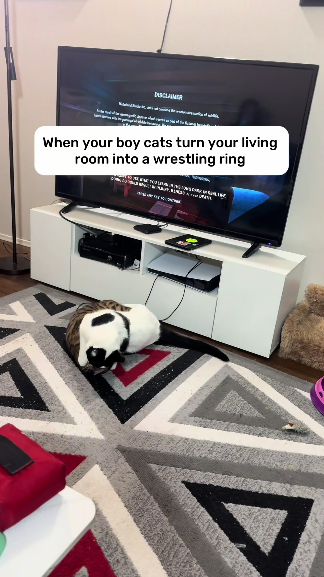 @Three Nawty Cats